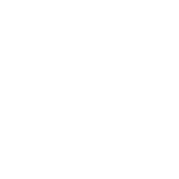 Elite Ski Club - лижна школа в Буковелі